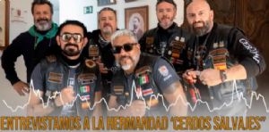 Vdeo: Entrevista Hermandad Cerdos Salvajes